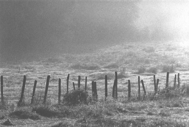 clôture dans
la brume (photocopie)